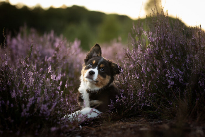 22. Hey, can you get this over with already?