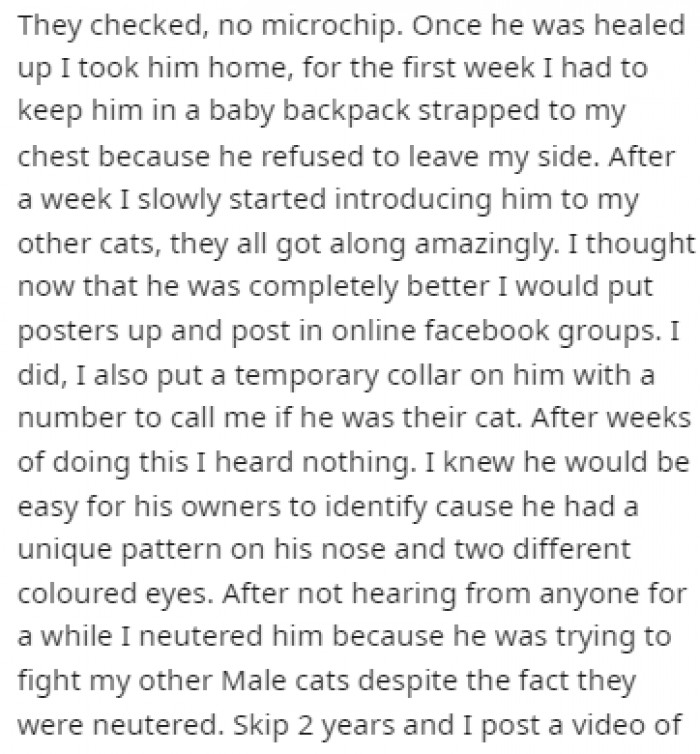 She put up posters and posted his pictures in Facebook groups to find the owners, but it didn't work. She had to neuter him because he was causing issues in the home.