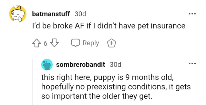 Getting pet insurance is surely a lifesaver