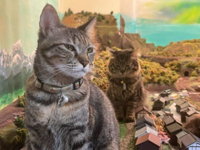 An unexpected companion named Simba made all the difference.