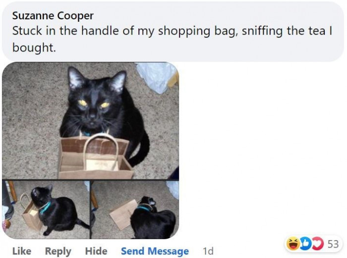 6. Investigation gone wrong