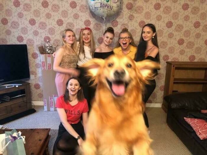 14. Alfie turned a normal group photo into his own spotlight moment