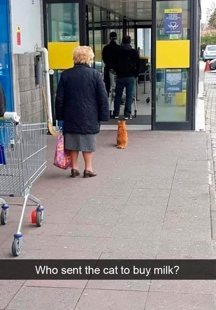 10. Orderly waits in line for shopping: