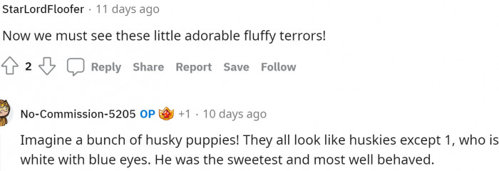 Husky puppies are definitely wild, so no wonder he had a crazy time with them. We're still disappointed that we couldn't see them, though.