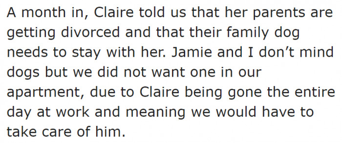 The problem is, the other roommate has to take care of their family dog because her parents are getting a divorce.