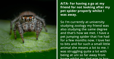 Irresponsible Guy Blames Mental Health For Starving Friend's Pet Spider To Death