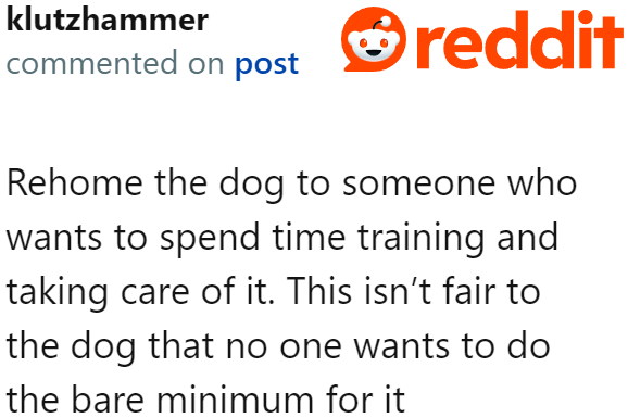 Another Redditor believes that the couple should just rehome the dog.
