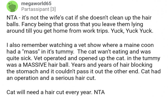 They suggest the wife isn't the direct owner if she doesn't clean up after her, and warned of the dangers of unchecked hairballs