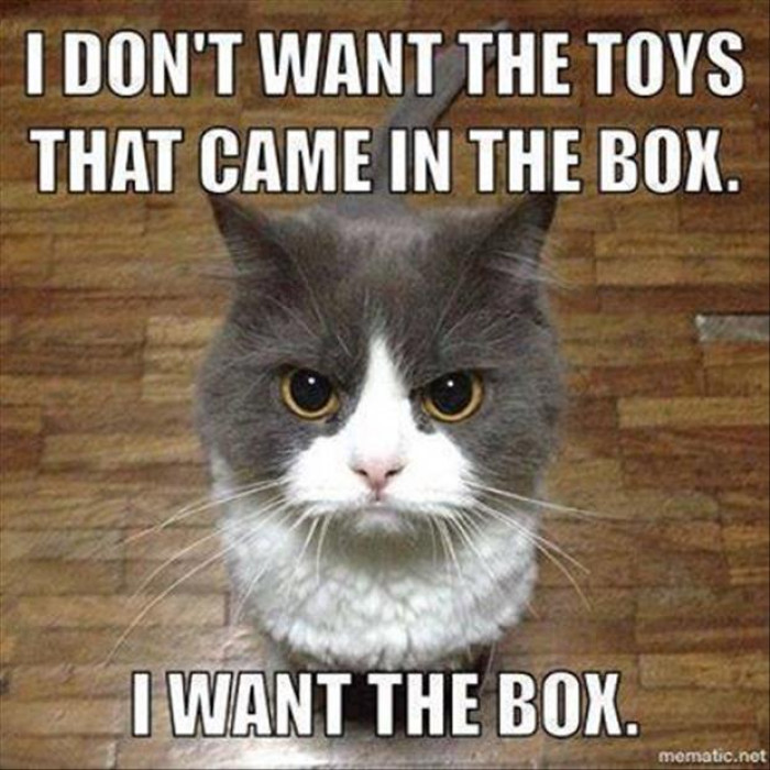 14. “Toys are for babies. I’m all grown now, and I want my box.”
