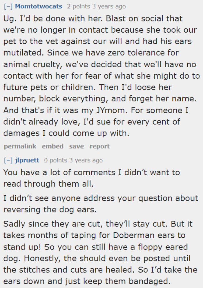 Some Redditors told the OP that the dog's ears don't have to be upright because it takes months of taping to achieve that.