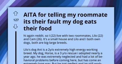 Redditor Blasts Roommate For Sabotaging Their Rescue Dog’s Training By Consistently Leaving Food Out