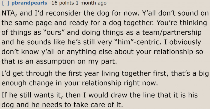 If the boyfriend is persistent on getting a dog, he needs to be completely responsible for it.
