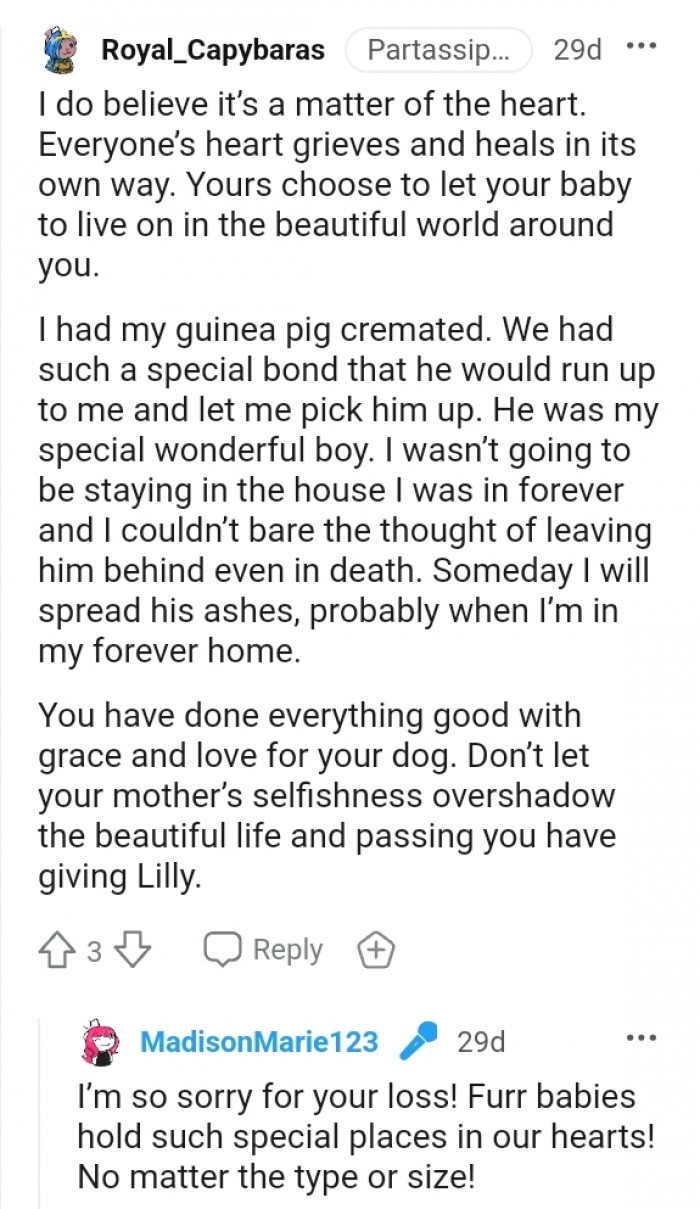 You have done everything good with grace for your dog