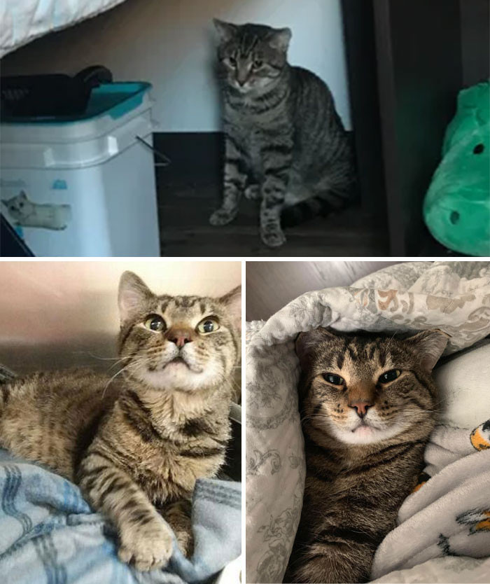 31. This little boy was left at a shelter.