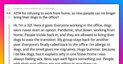 An Employee Who Is Allergic To Dogs Has To Navigate Her Now Pet-Friendly Workplace Because Her Boss Refused Her Request For Her Own Office