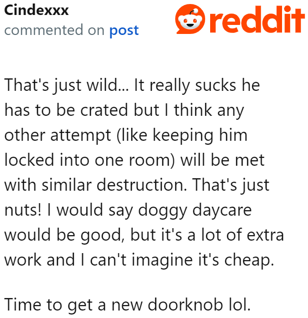 Redditors provided the OP with more options beyond the crate.