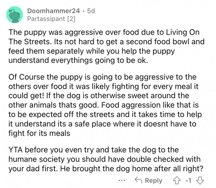 "Food aggression like that is to be expected off the streets."