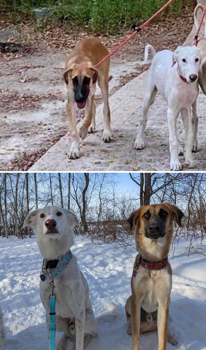 24. From The Streets Of Qatar To The Great White North. Happy 3 Months On Canadian Soil To My Amazing Boys!