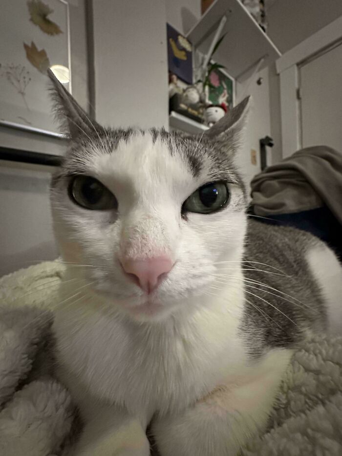 49. She's judging my sleep posture.