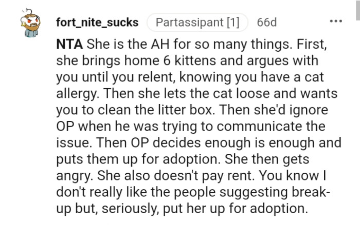 OP decides enough is enough and puts them up for adoption.