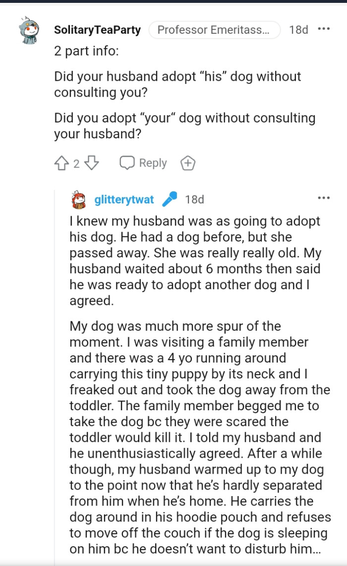 The OP knew the husband was going to adopt a dog