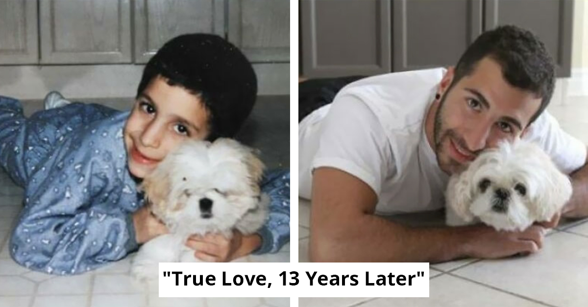 50 Touching Then And Now Pics Of Pets And Their Owners That Will Melt Your Heart