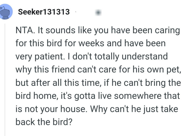 Why can't he take his bird along?