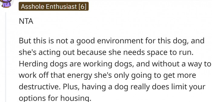 This is not a good environment for this dog