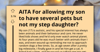 Mom Lets Autistic Son Build Mini Animal Kingdom, Now Her Stepdaughter Says It’s “Unfair,” And Reddit Has Thoughts