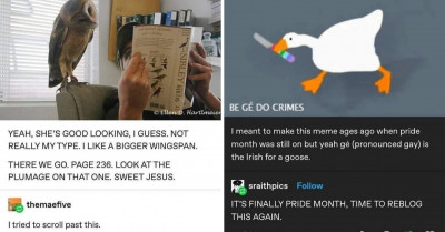 14 Hilarious and Informative Tumblr Posts About Animals That Will Give You a Good Chuckle