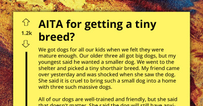 Friend Criticizes Redditor for Getting Small Dog Despite Already Having Three Larger Breeds