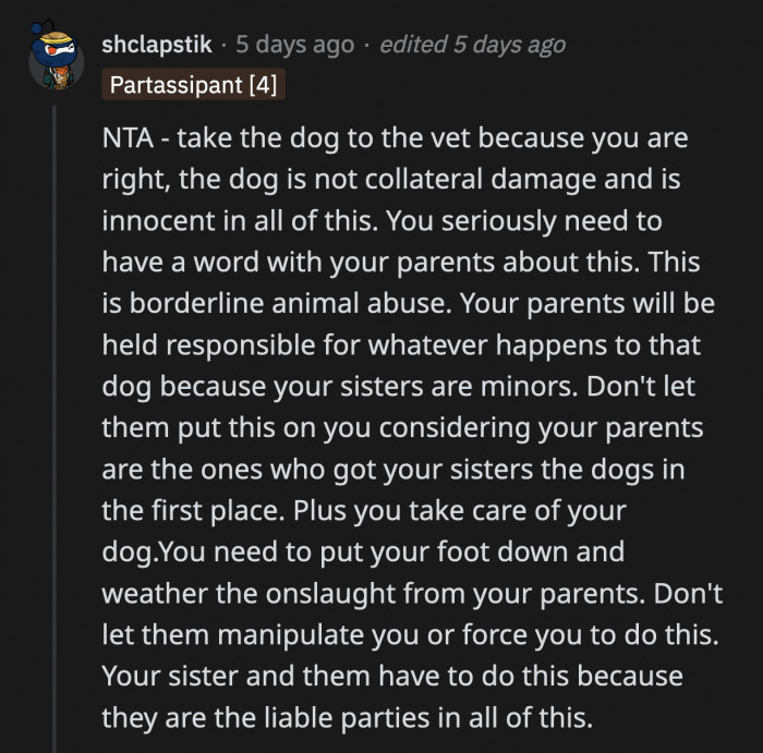 OP Is Right to Say That the Dog Is Not His Responsibility, but If His Sister Continues to Do Nothing, OP Has to Take the Dog to the Vet Because He Doesn't Deserve to Be in Pain