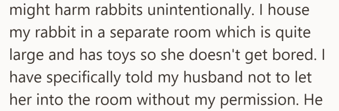 This was not a casual setup. The rabbit had space, care, and one clear rule attached.