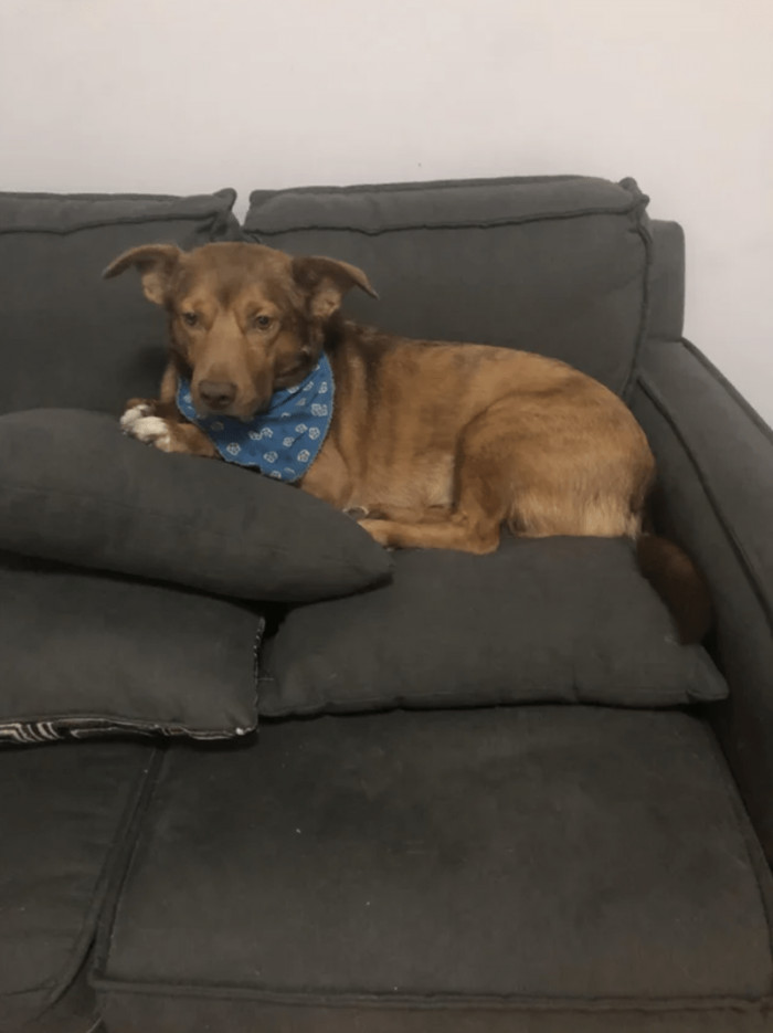 "Look at him, as though he hasn't had a meal in days!"