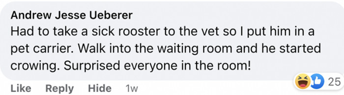 8. This attention seeker