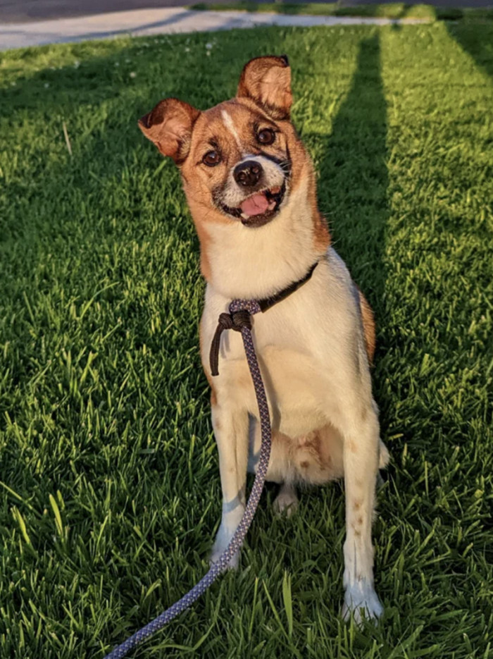 A happy survivor indeed.