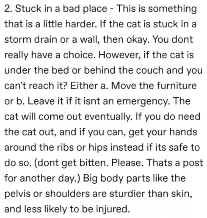 12. Avoid it even when your cat gets stuck somewhere.