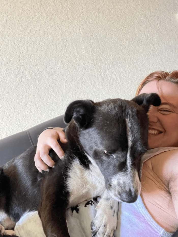 Ozzy in his forever home