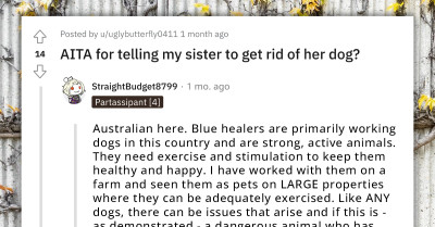 Redditor's Sister Thinks Aggressive Dog Is Her Baby and Refuses to Give Him Up Even After Biting Her Nieces and Nephews