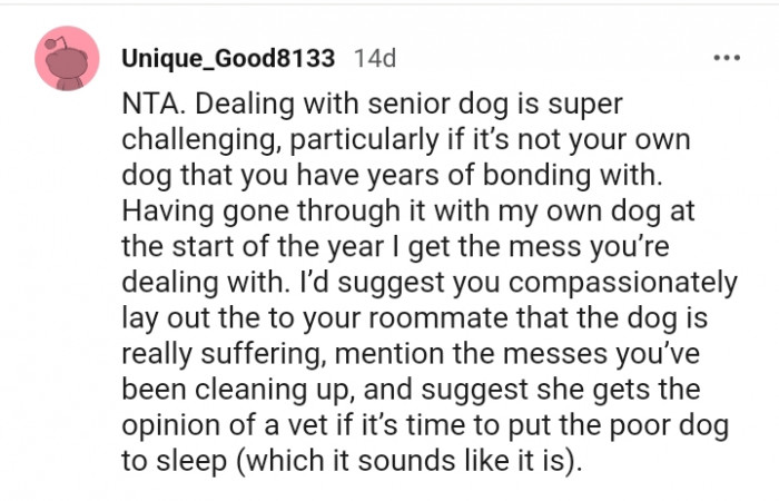 Dealing with a senior dog is super challenging