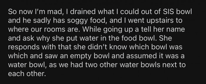 OP's sister claimed that she didn't notice the difference between the bowls.