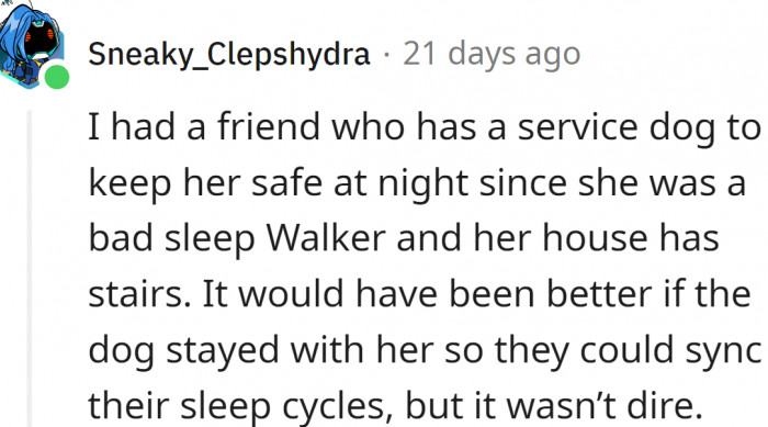 Service dogs have all kinds of tasks