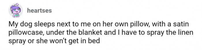 20. Her own satin pillowcase on the bed shared with her owner