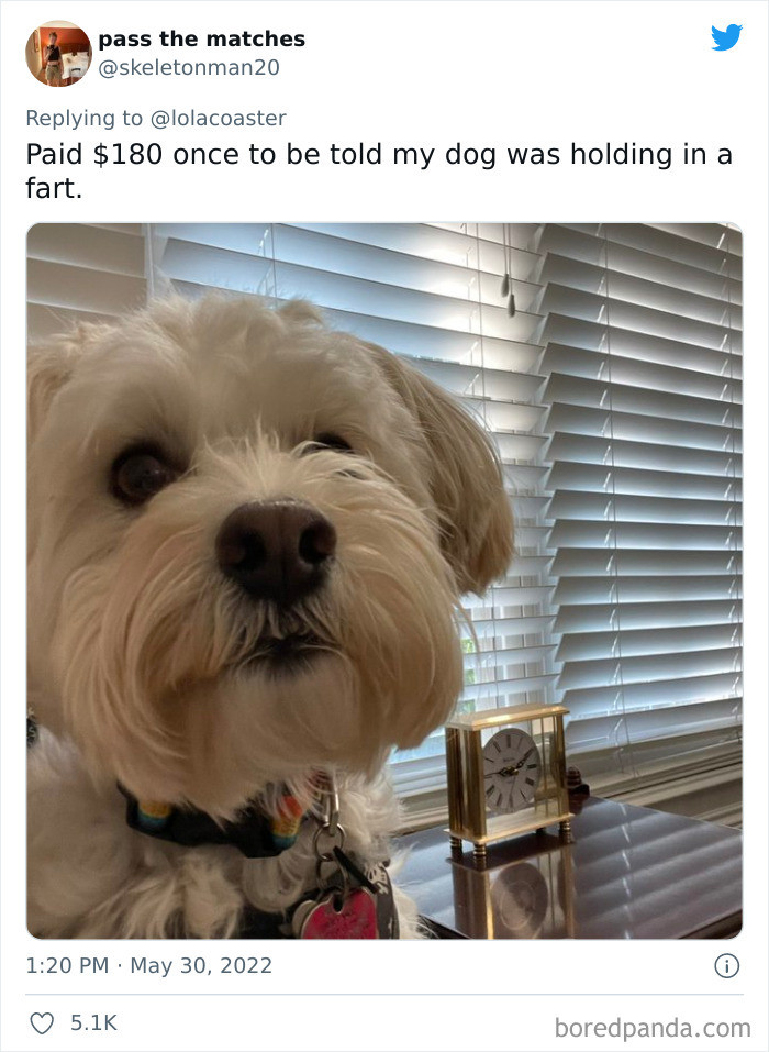 32. Another fart case!