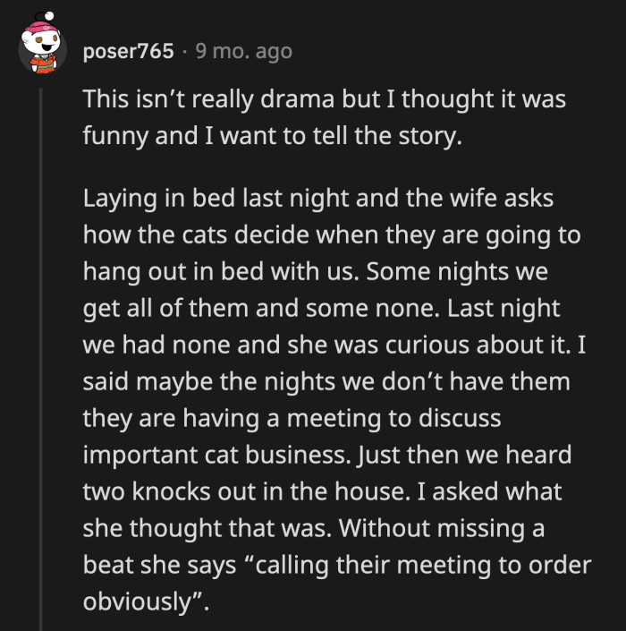 25. Their only agenda is to figure out which cats gets the prime spots: the owners' faces.