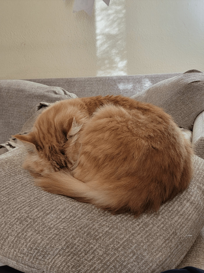 11. "I don't sleep this well, nor am I this cute, but this is my son, and he's so lovely."