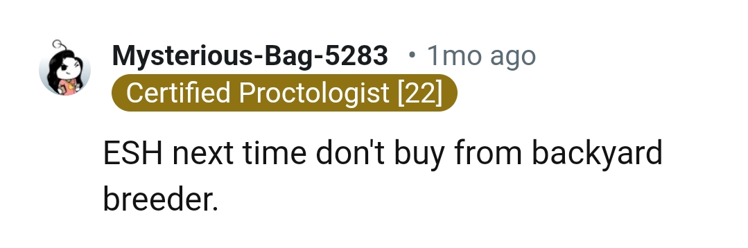 Do not buy from backyard breeders