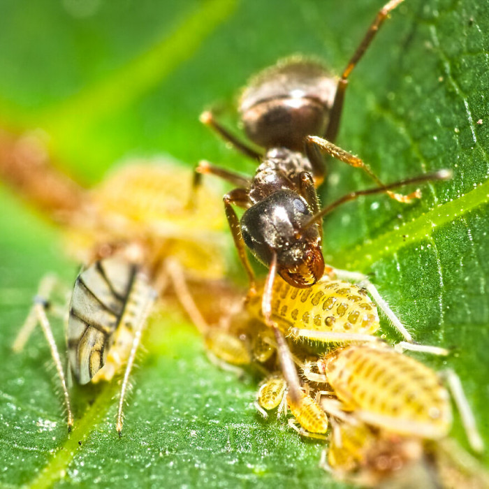 20. Just here, observing my space and my stuff