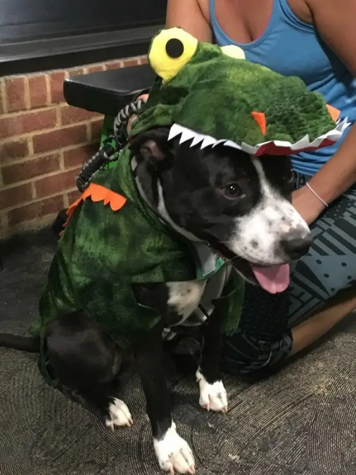 25. Halloween Dressing