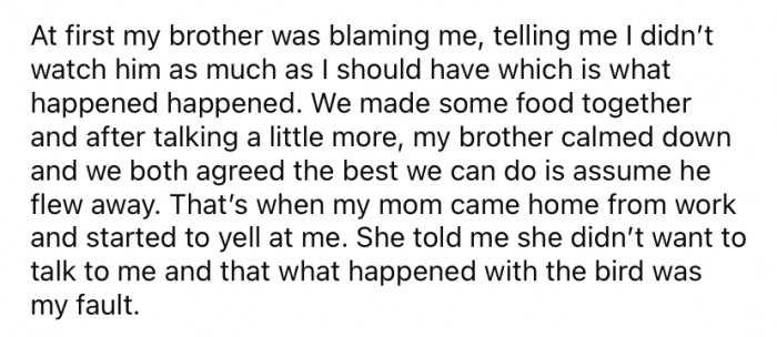 After a while, OP says their brother calmed down and stopped blaming them for losing the bird. However, when the pair's mother got home from work, she was very angry and told OP it was all their fault.